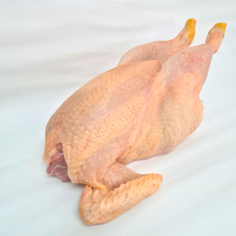 Pollo de corral entero, limpio por dentro